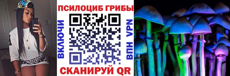 Купить  Новомичуринск  Псилоцибиновые грибы прущие грибы 