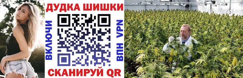 Бошки Шишки сатива  Купить закладки  Новомичуринск 